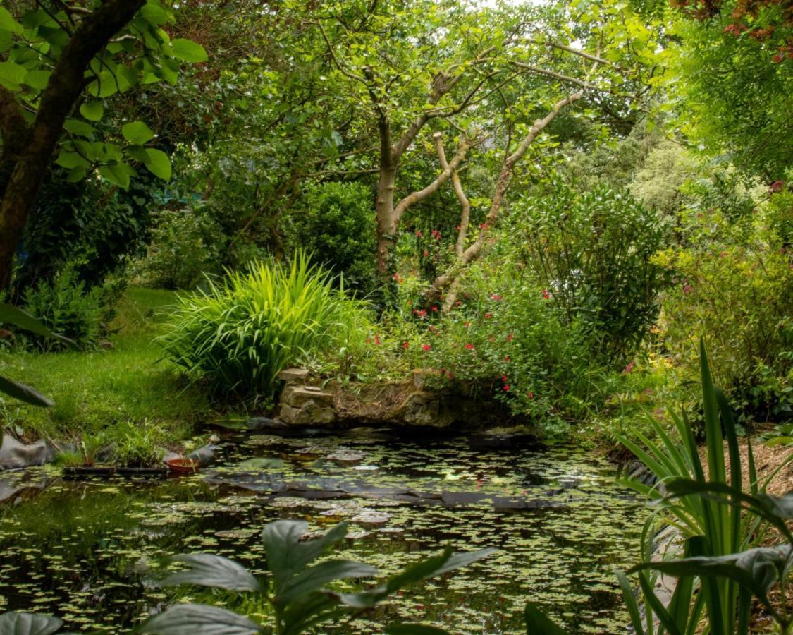 Une Suite Au Jardin Hyenville 外观 照片